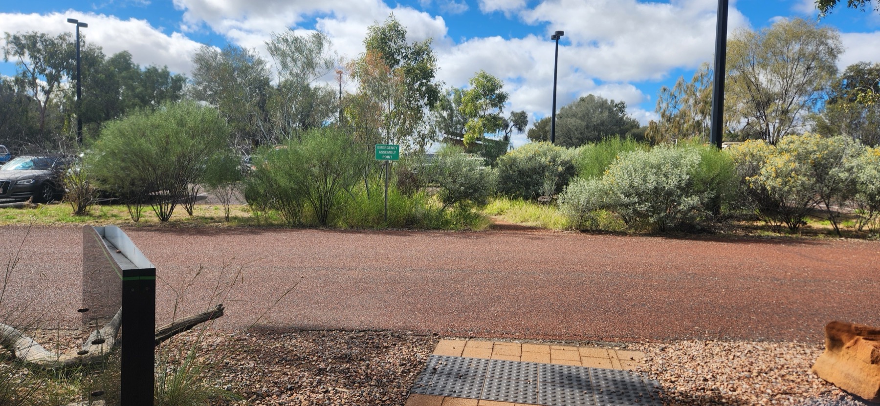 Emergency Assembly Point - green sign in the staff carpark at DKA